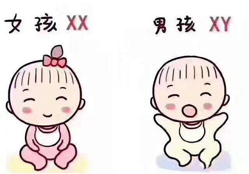 试管婴儿胚胎到底可以保存多长时间？